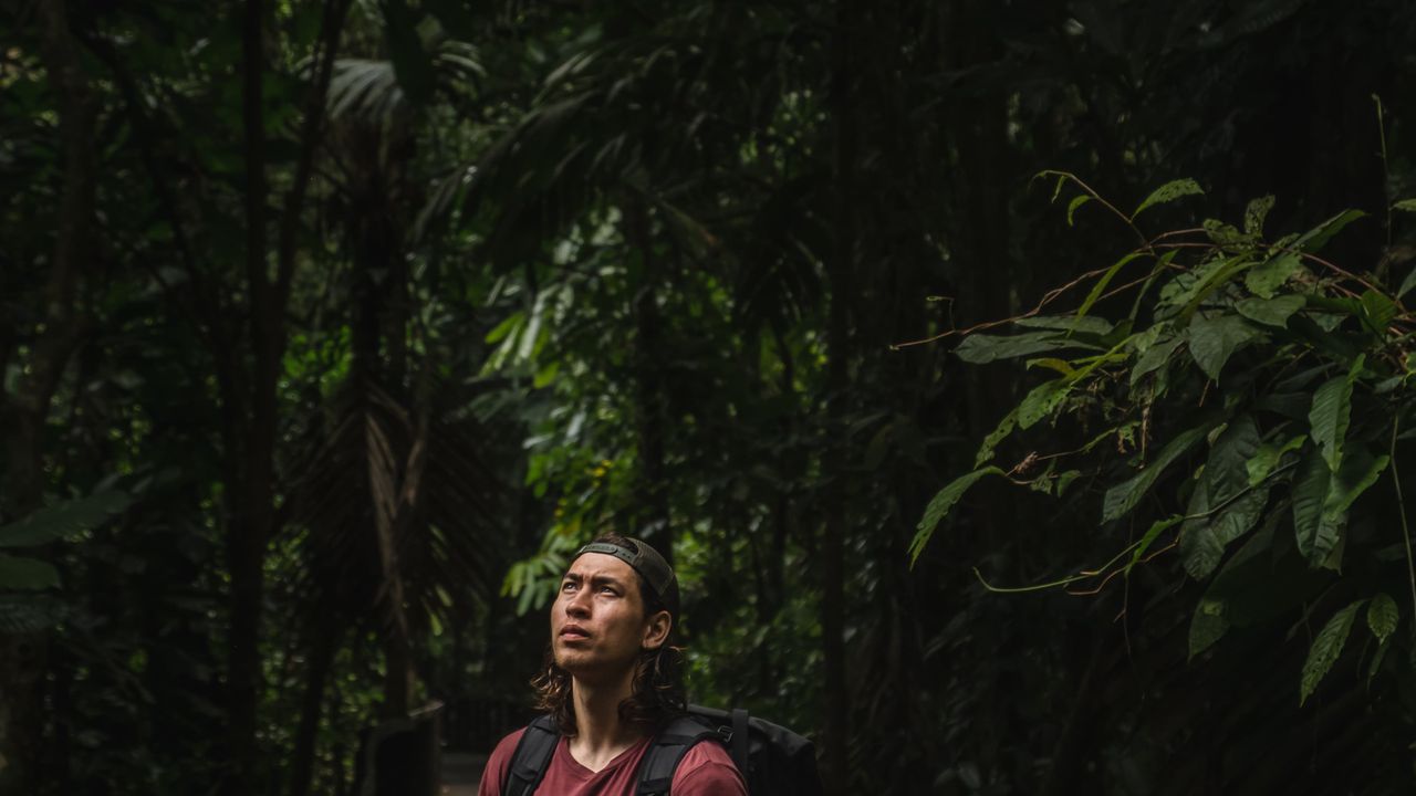 A man wearing a red shirt and looking up in the jungle