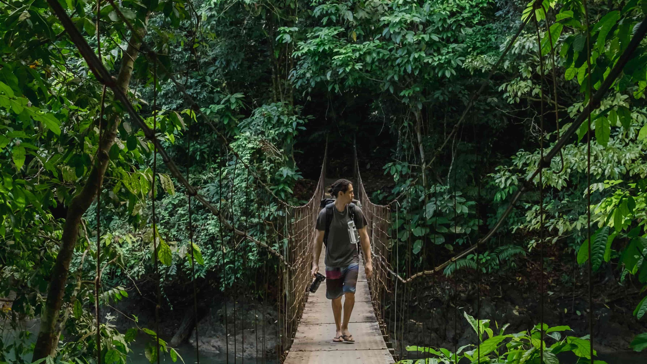 Mark walking on a bridge in the jungle of Corcovado National Park, Costa Rica.