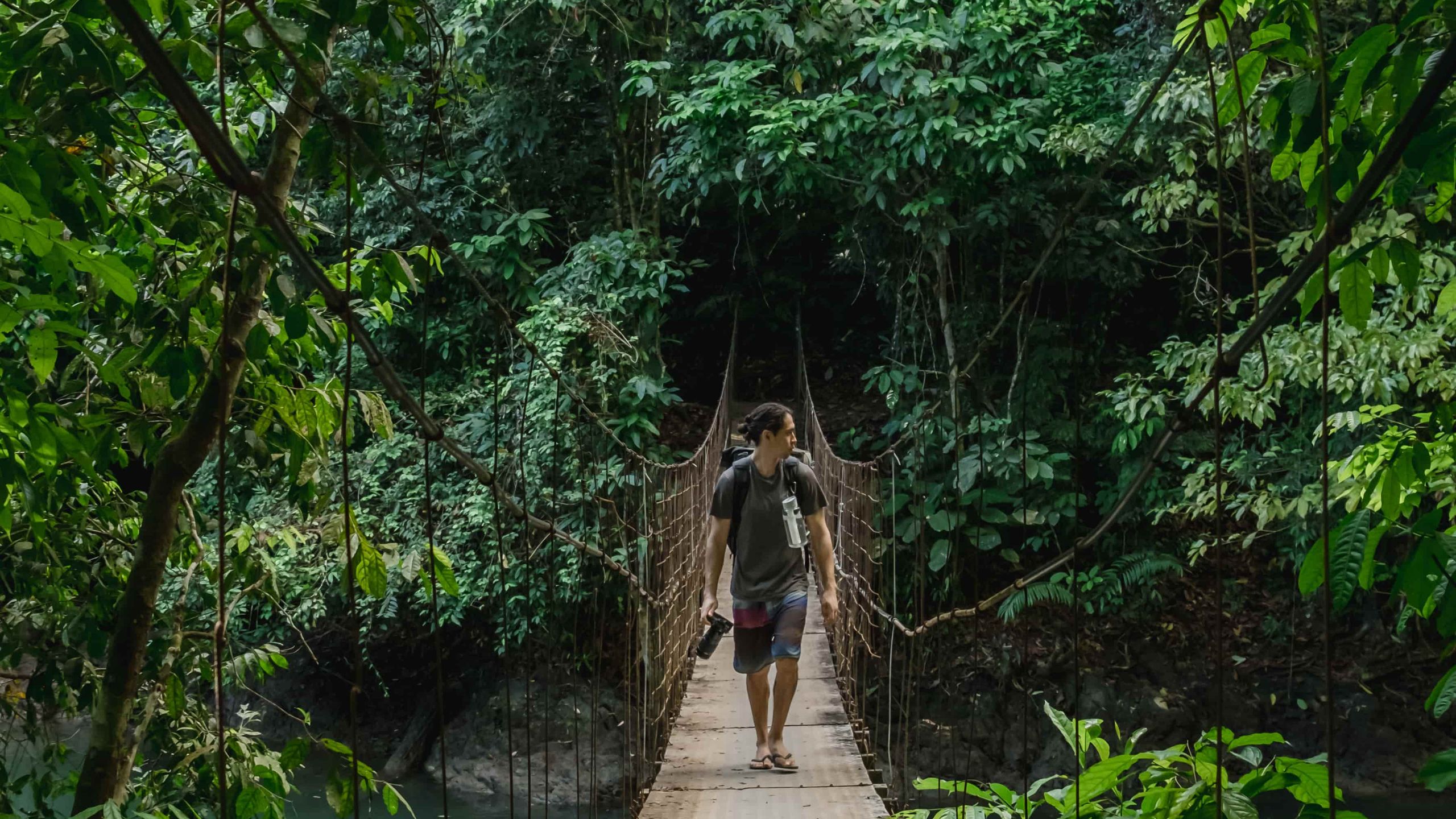 A man walking on a bridge trough the jungle