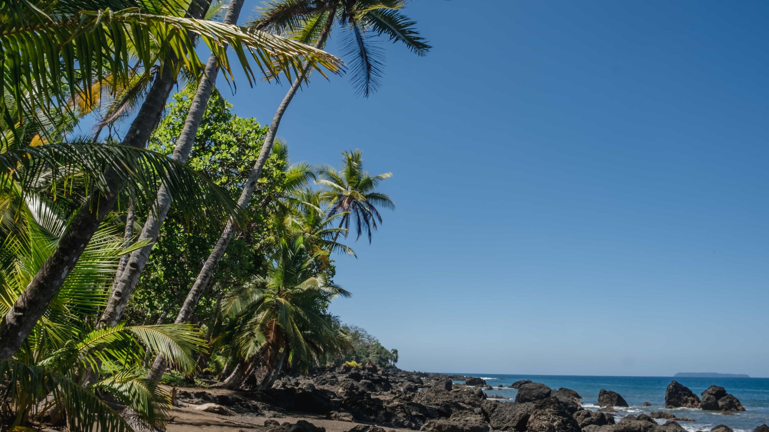 Beautiful beach with dark sand and palmtrees on the pacific coast of Costa Rica