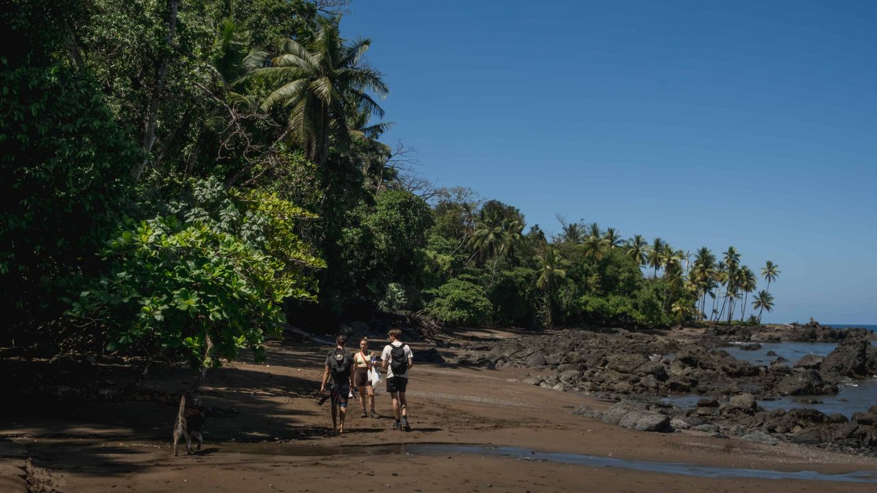 Three persons hiking on the beach, the jungle on their left and the ocean on their right.