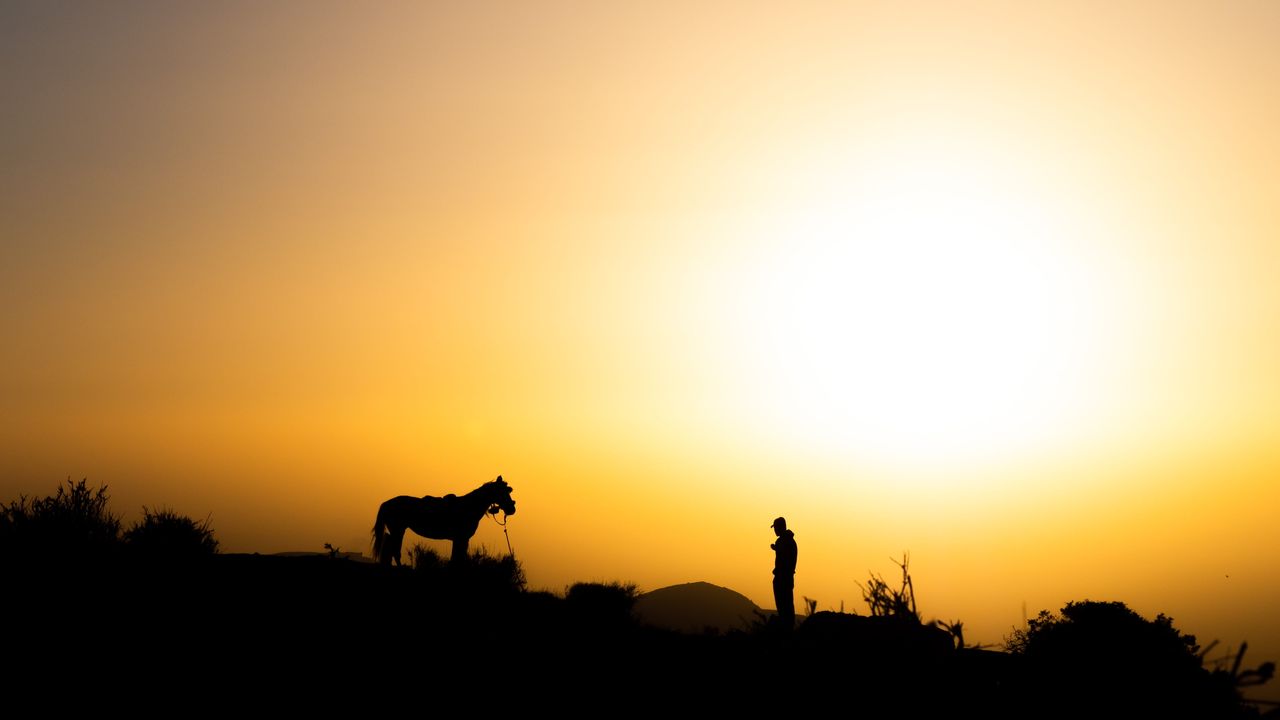 Sunset with a horse and a man