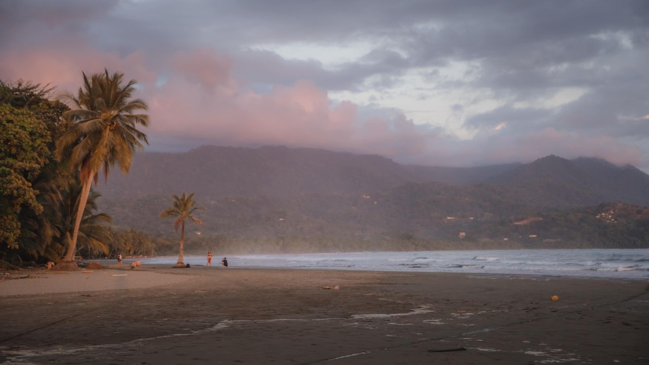 Beach in front of the jungle, sunset colors and the waves collapsing