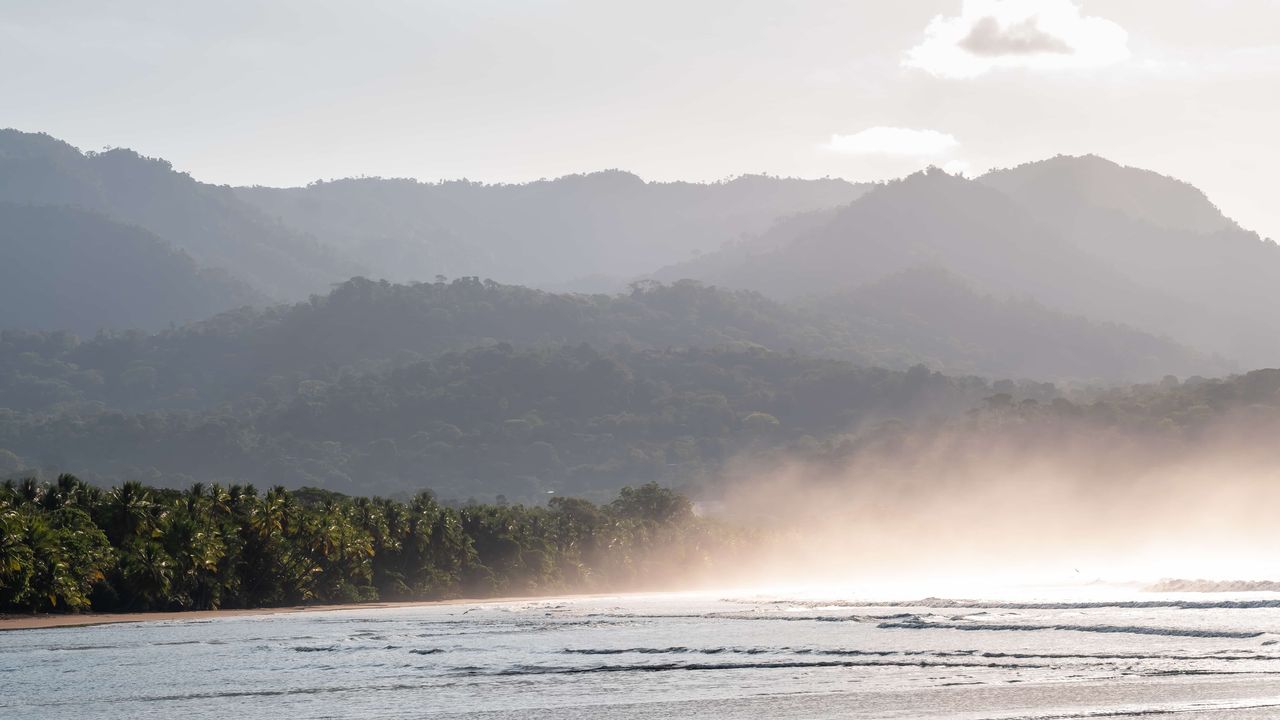 ocean with the jungle in the background